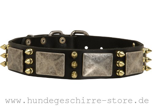 Leder Halsband, sicher