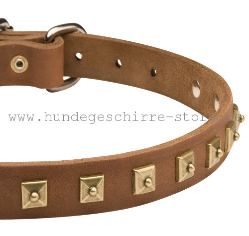 Leder Hundehalsband, exklusiv