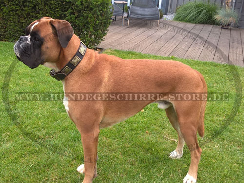 Retro Hundehalsband Leder für Mastino Napoletano