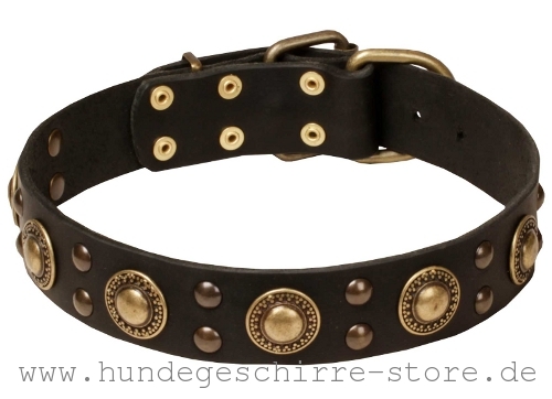 Leder Hundehalsband, hochwertig