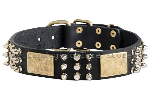 Leder Halsband, stilvoll