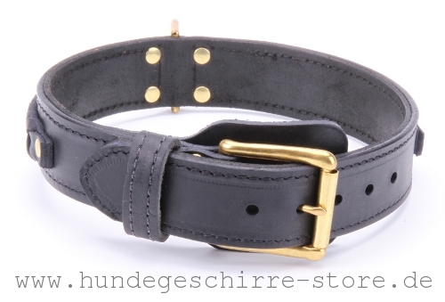  Hundehalsband aus Leder, stark