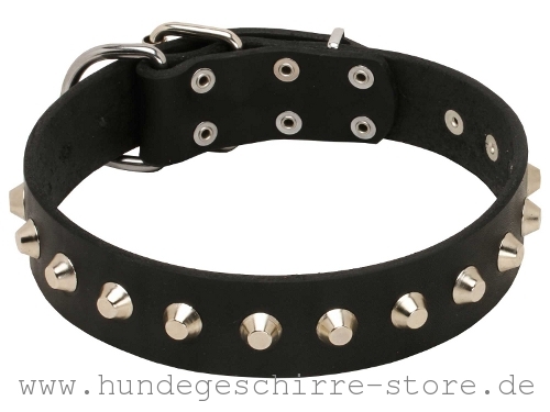 Leder Hundehalsband, vernietete Metallteile