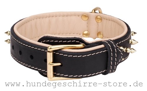 Leder Hundehalsband, starke Konstruktion