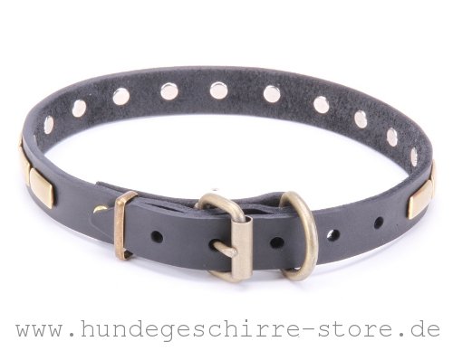 Leder Hundehalsband, ausgezeichnet