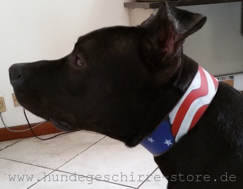 Leder Halsband für Hunde, bequem