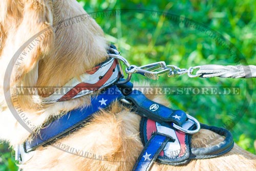 Hundehalsband aus Leder, strapazierfähig