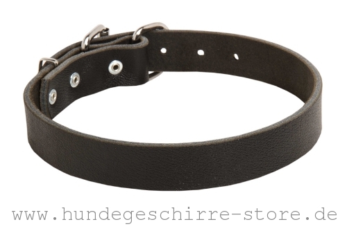 leichtes Leder Hundehalsband