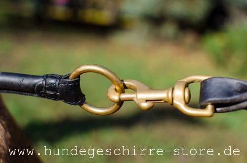 Leder Hundehalsband, abriebfest