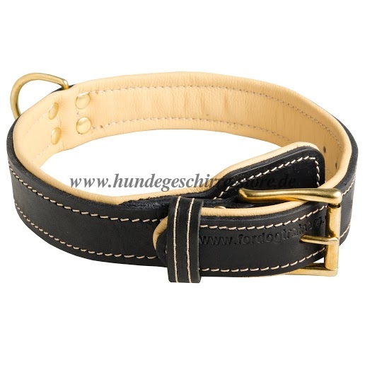 Royal Leder Halsband mit
Nappa-Polsterung