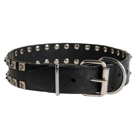 Hundehalsband, luxus hundeshop