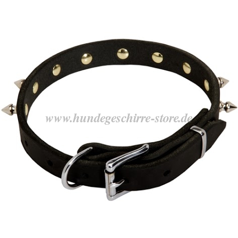 Hunde
Lederhalsband mit Nickel-Spikes kaufen