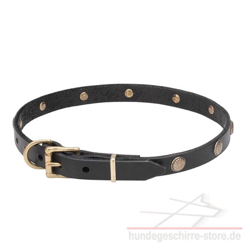 nietenhalsband hund messing hundeshop