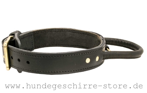 Hundehalsband Leder, stark