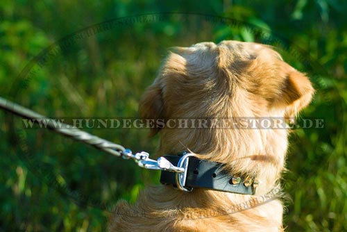 wertvolles Leder Hundehalsband