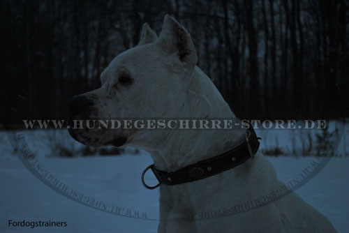 Leder Hundehalsband, elegant