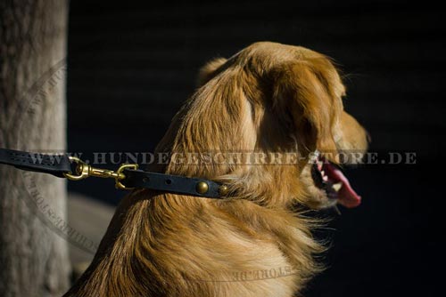 schönes Hundehalsband aus Leder