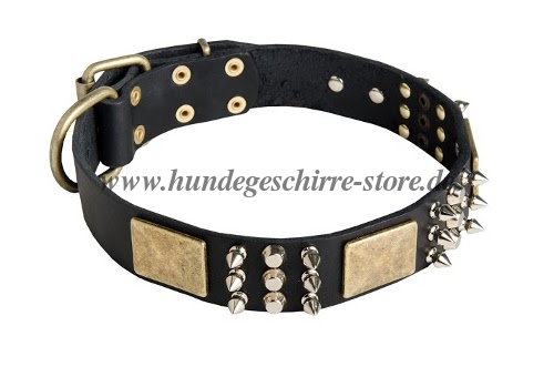 hundehalsband luxus für Hunde