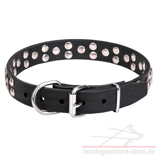 halsband verchromte sterne luxus hundeshop