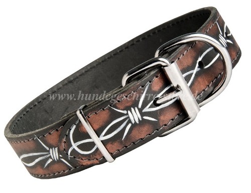 Buy painted designer dog collar