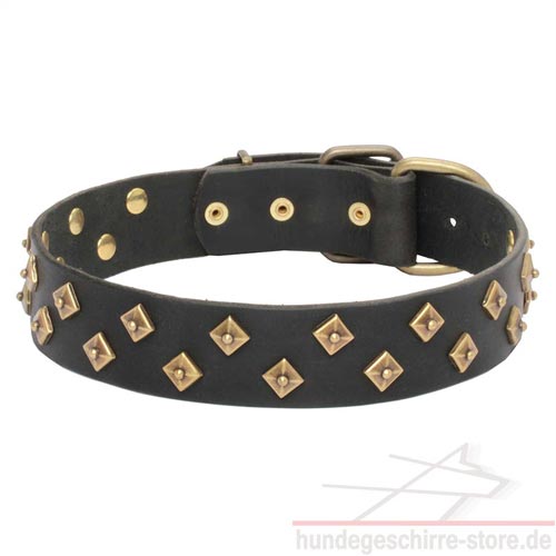 nietenhalsband mit pyramiden aus messing hundeshop