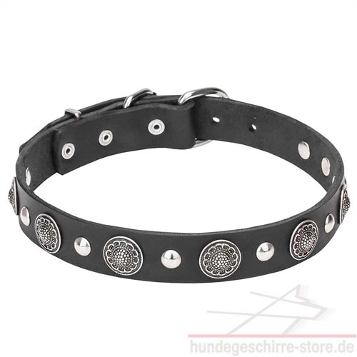 enge hundehalsbänder conchos und nieten luxus hundeshop