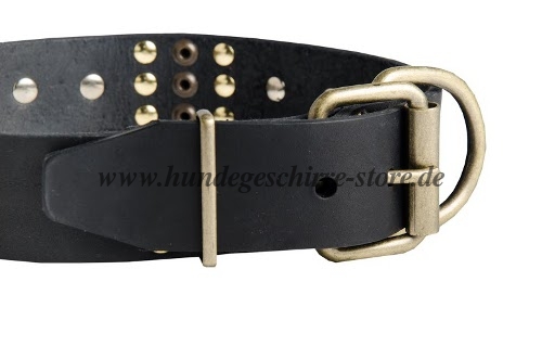 luxus halsband kaufen