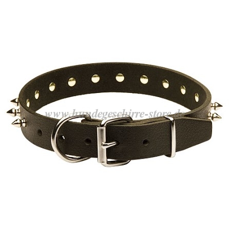 Leder Halsband mit Reihe von Spikes