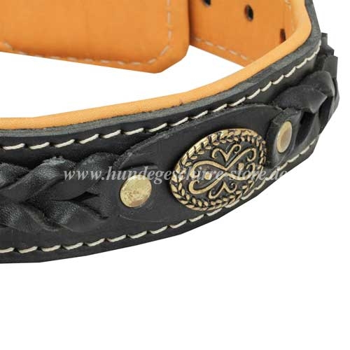 Leder Hundehalsband mit Nappa
kaufen