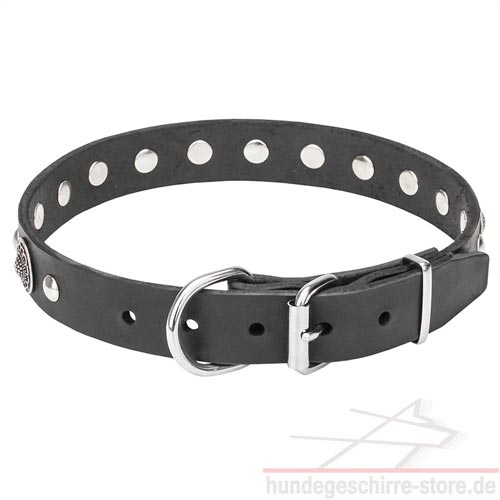 halsband verchromte conchos luxus hundeshop