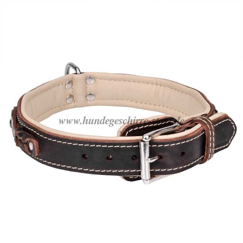 Braided Collar dog luxury Nappa