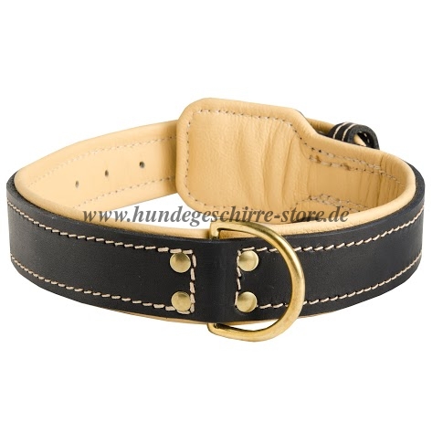 Leather collar with Nappa, Buy Nappa