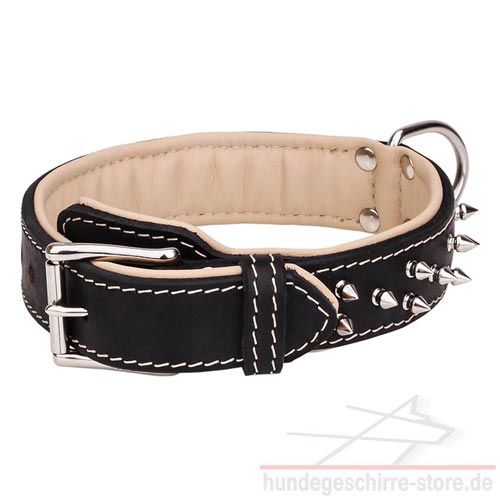 Stilvolles Hundehalsband Leder mit Nappa Polsterung und Dornen Dekor aus Nickel