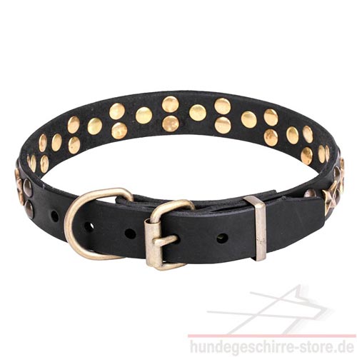 halsband mit bronzierter Schnalle hundeshop