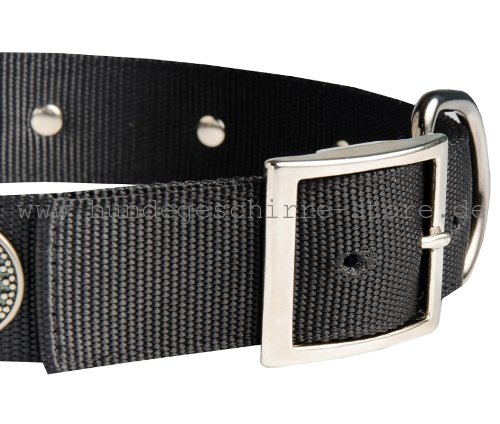 Nylon Halsband, sicher