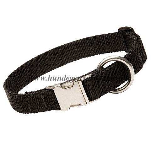 Nylon dog collar with snap
closure