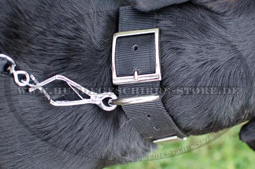 Schweizer Sennenhund halsband nylon