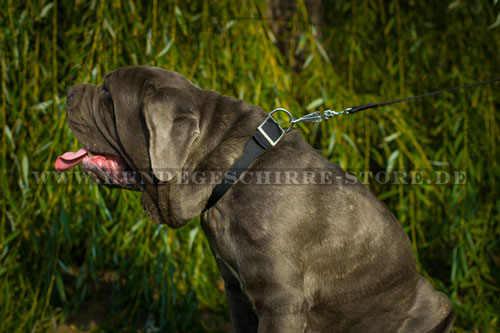  Hundehalsband aus Nylon, stilvoll
