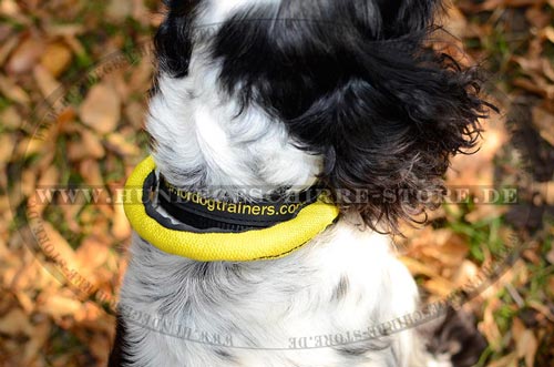 Nylon Hundehalsband für Cocker Spaniel