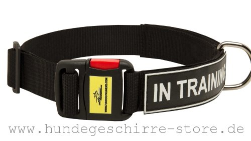  Nylon Hundehalsband online kaufen