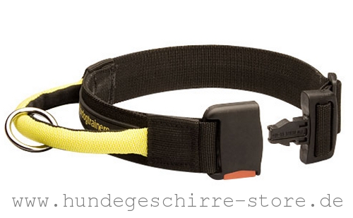 Nylon Hundehalsband, abriebfest