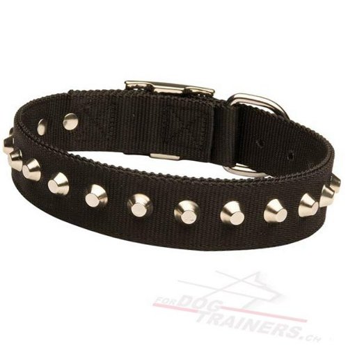 Nylon Halsband mit Reihe von Kegelstumpfen