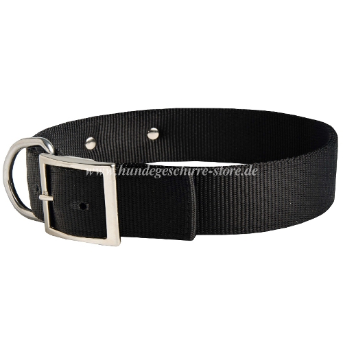 Nylon Hundehalsband mit Namensplatte 