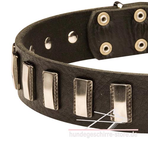 Leder Halsband, hochwertig