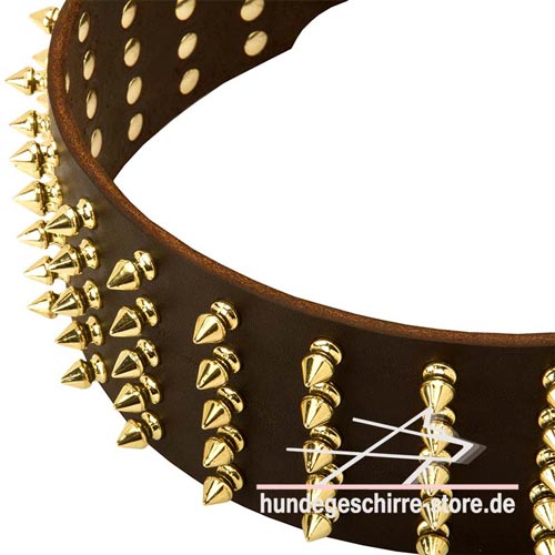 Leder Halsband, qualitativ