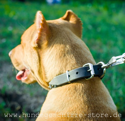 Leder Hundehalsband, originell