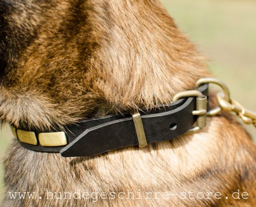 Leder Hundehalsband mit Dekor