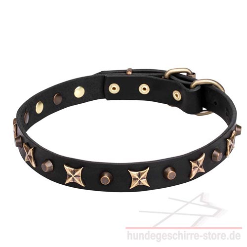 Leder Hundehalsband, stilvoll und schön