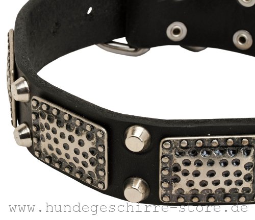 Leder Halsband, hochwertig