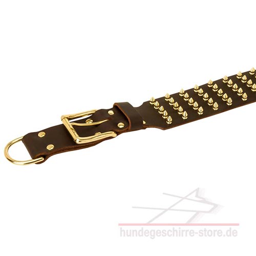 Leder Halsband, hochwertig